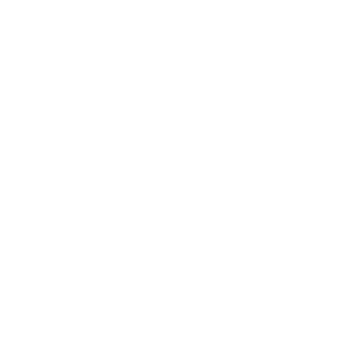 feature-item-4
