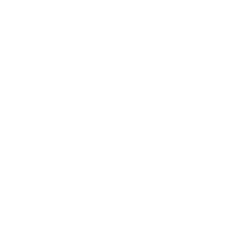 feature-item-1